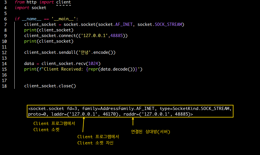 Python Socket Programming