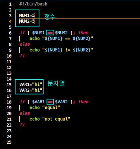if / case / for / while / 조건문