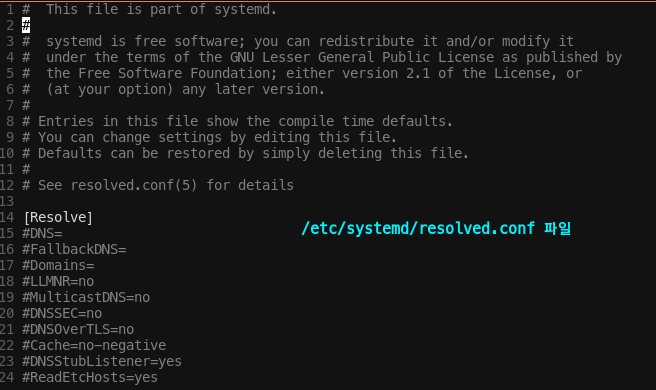 Systemd가 관리하는 Network : DNS, Systemd-resolve