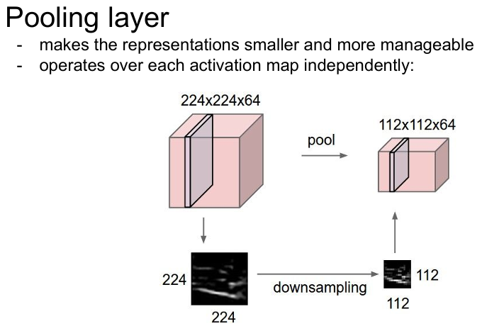 Lecture 5. Convolutional Neural Networks