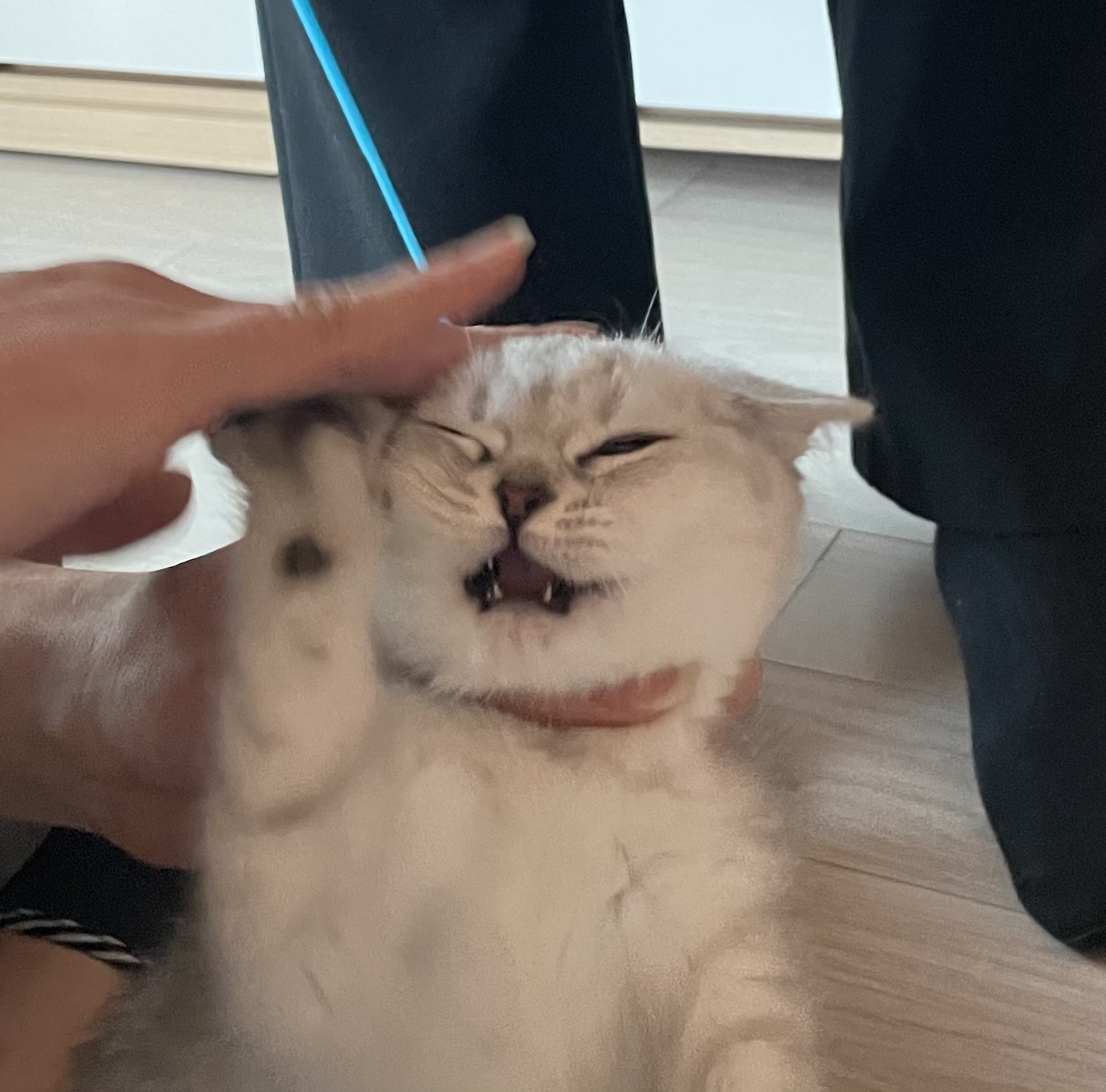 post-thumbnail