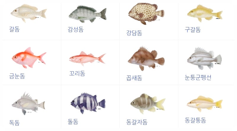 DOM: 웹 페이지의 구조를 이해하고 JavaScript로 동적 제어하기