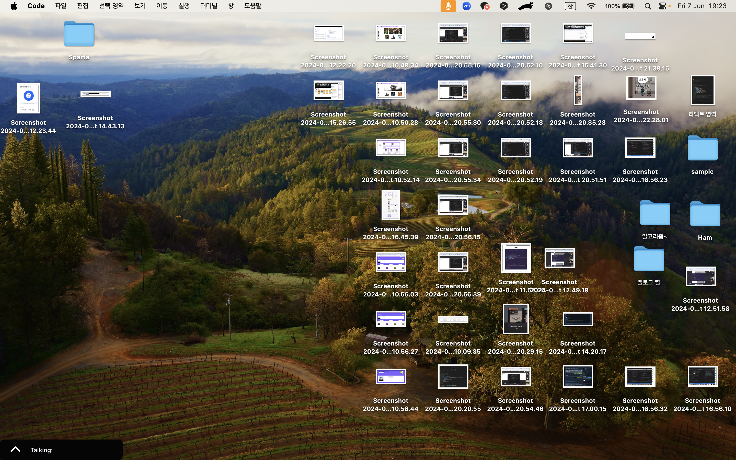 스크린샷 투성이