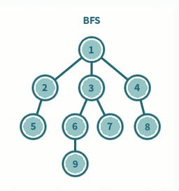 Bfs Roots DFS vs BFS 탐색
