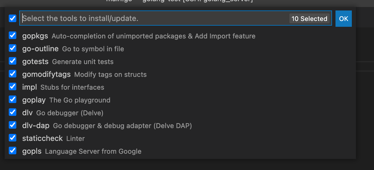 Golang remote debugging 하기