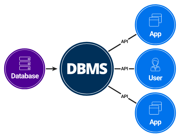 DBMS