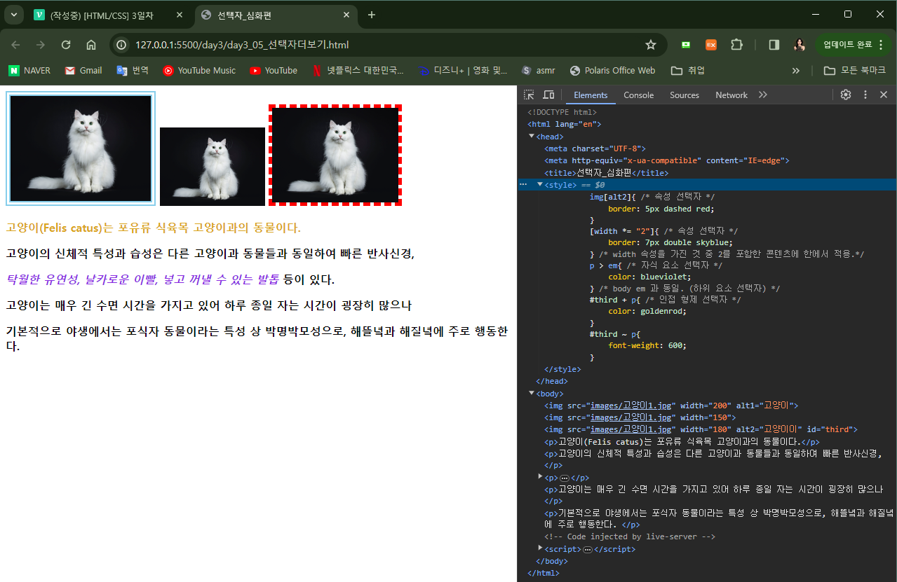 CSS 웹페이지 출력