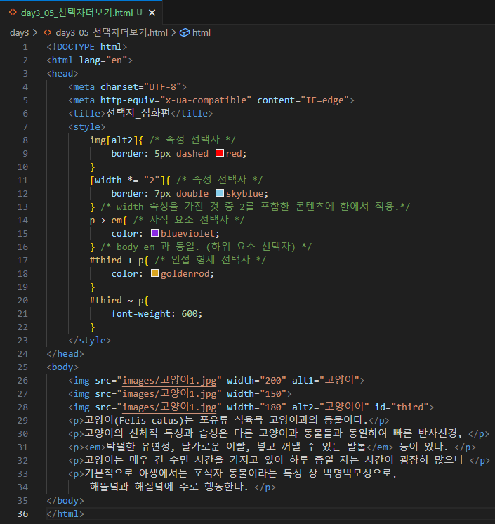 HTML, CSS 코드