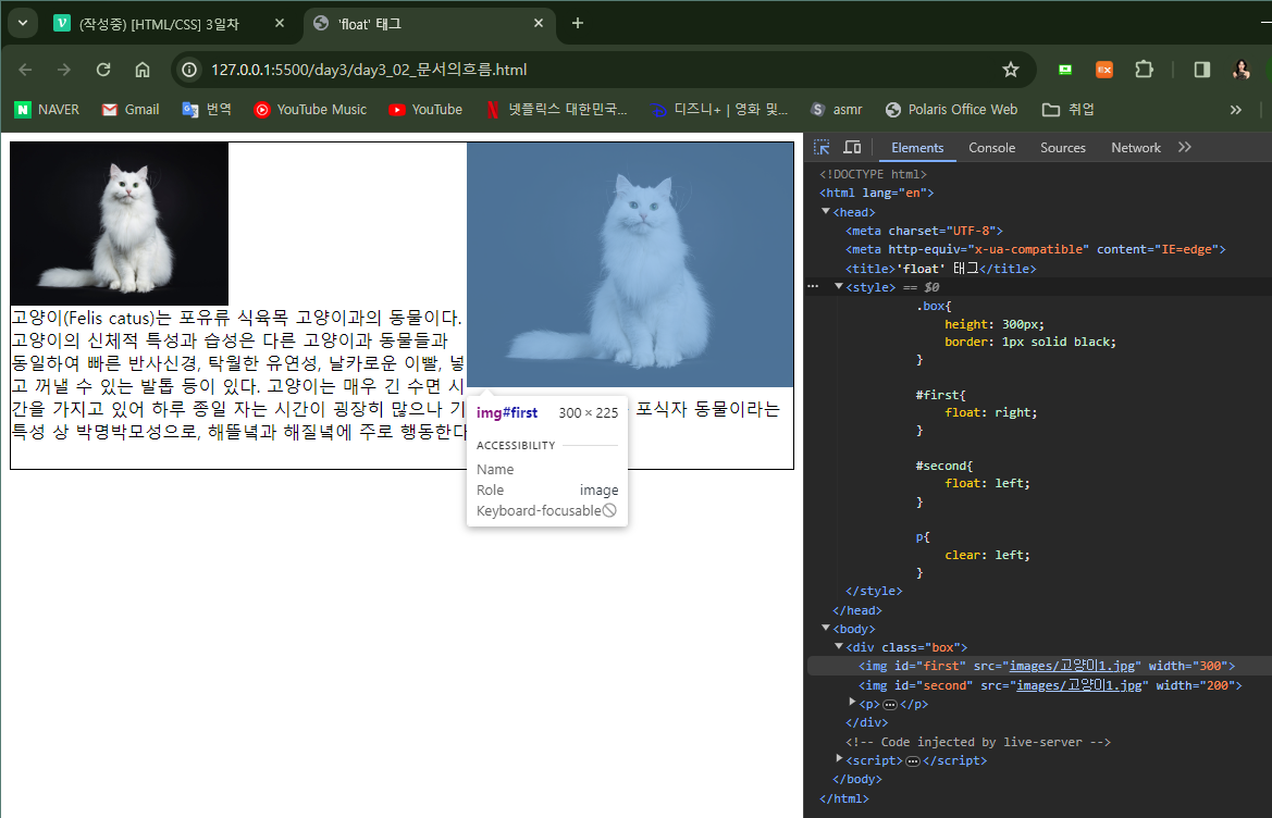 CSS 웹페이지 출력