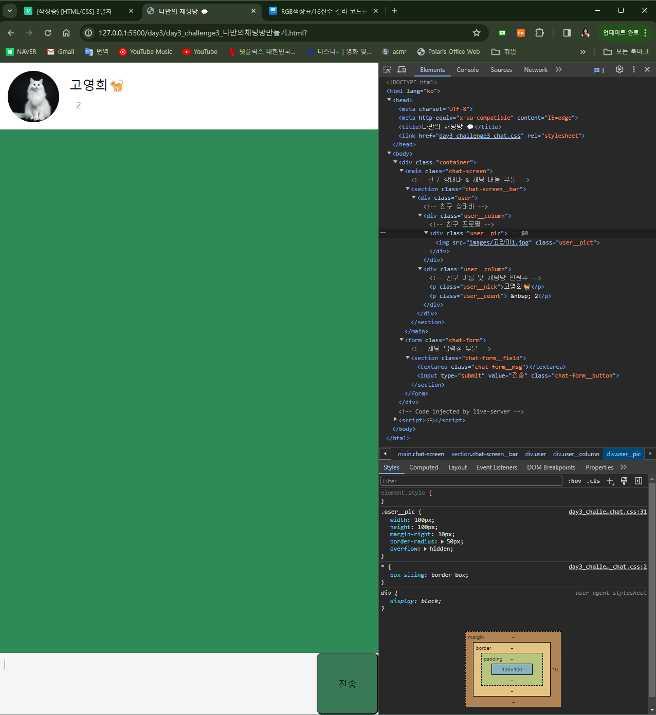 CSS 웹페이지 출력