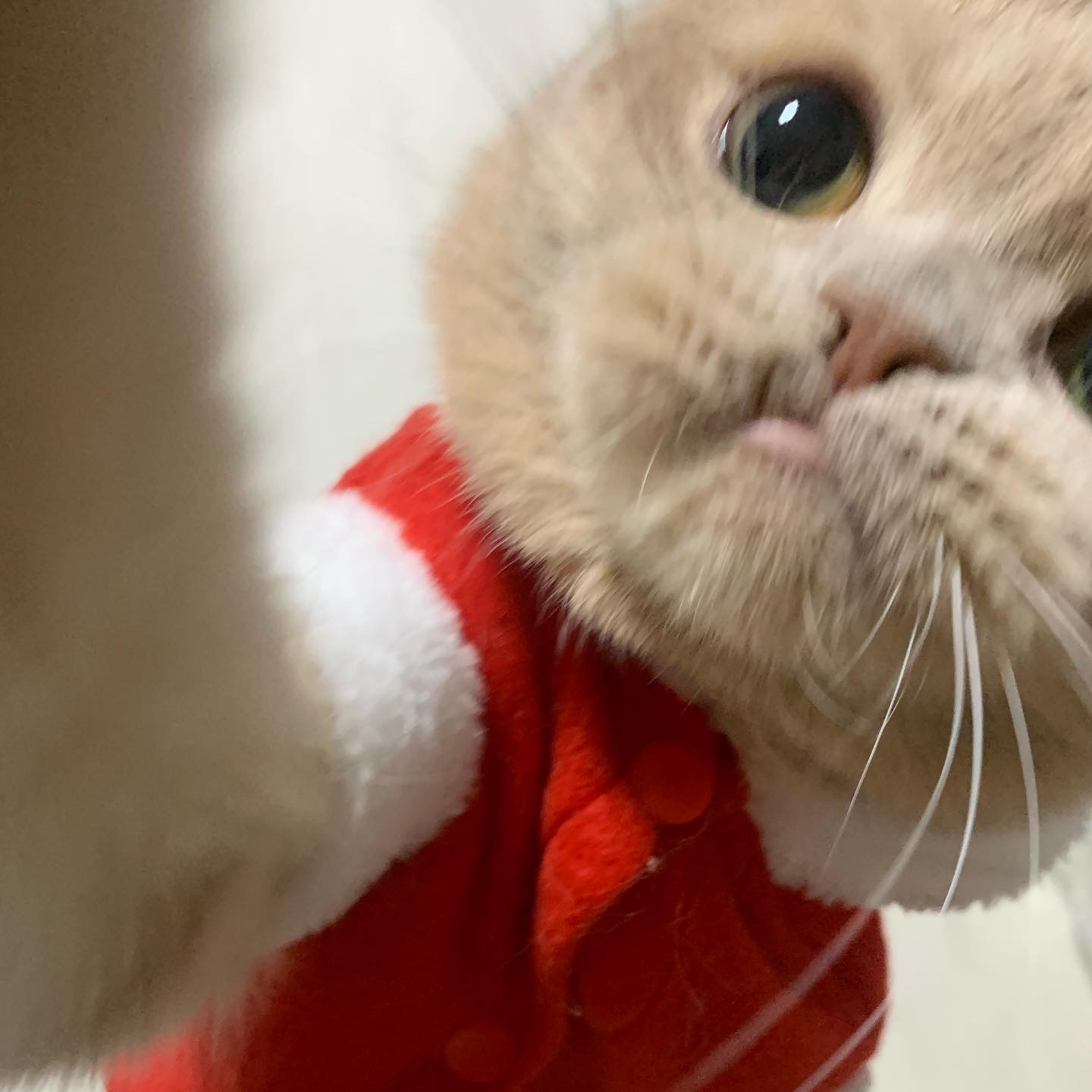 comment-user-thumbnail