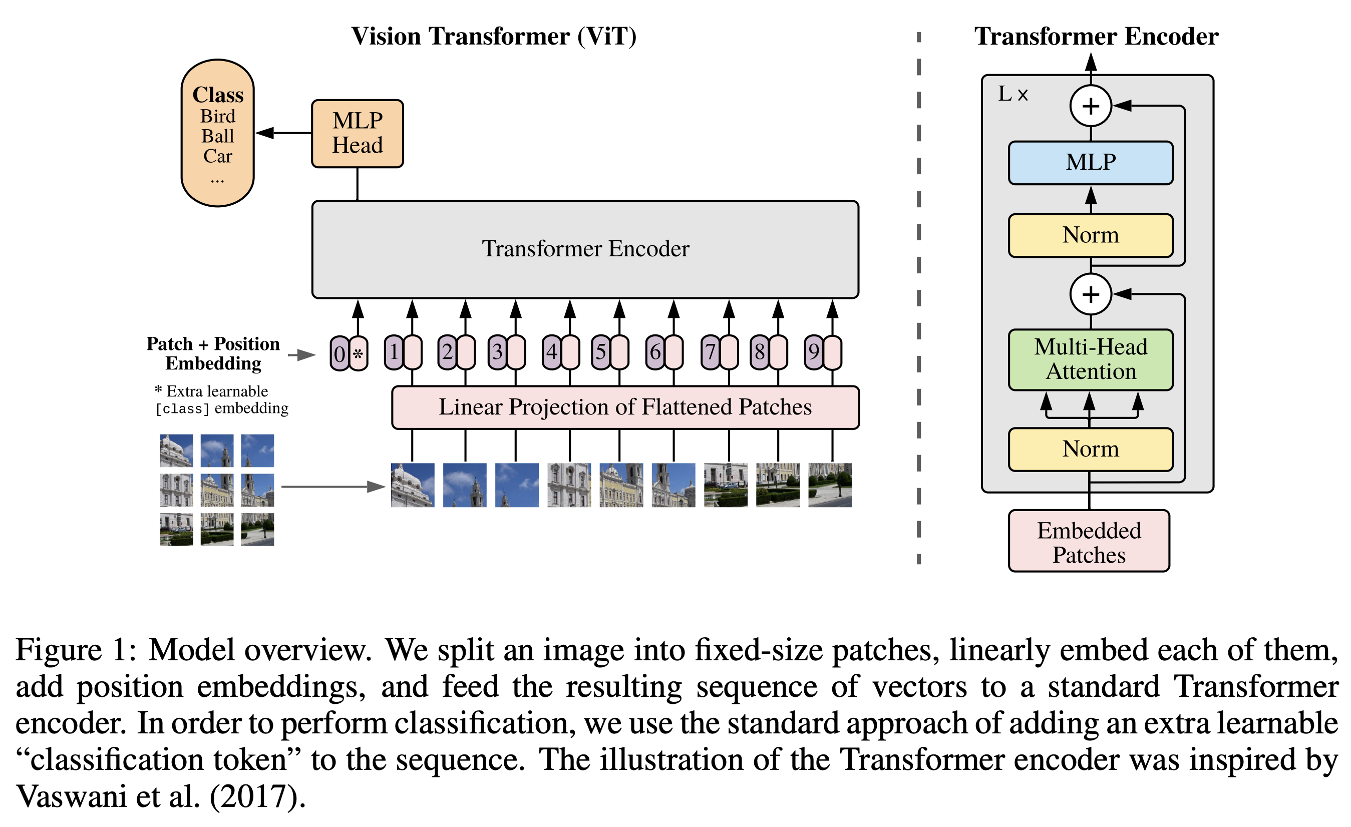 ViT-Figure 1