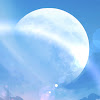 Velog profile picture for @mir