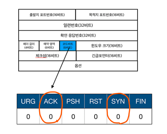 TCP 헤더