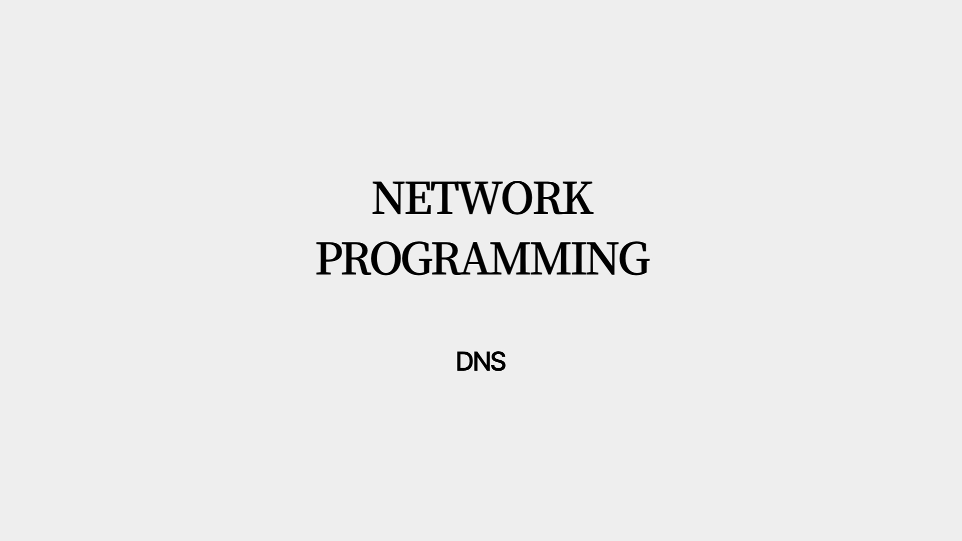 [NP] 7. DNS