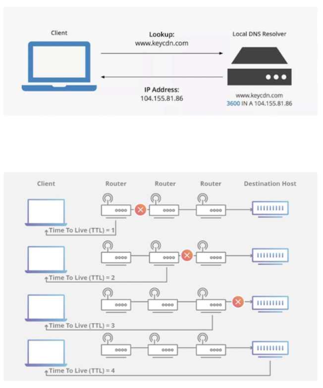 [NP] 7. DNS