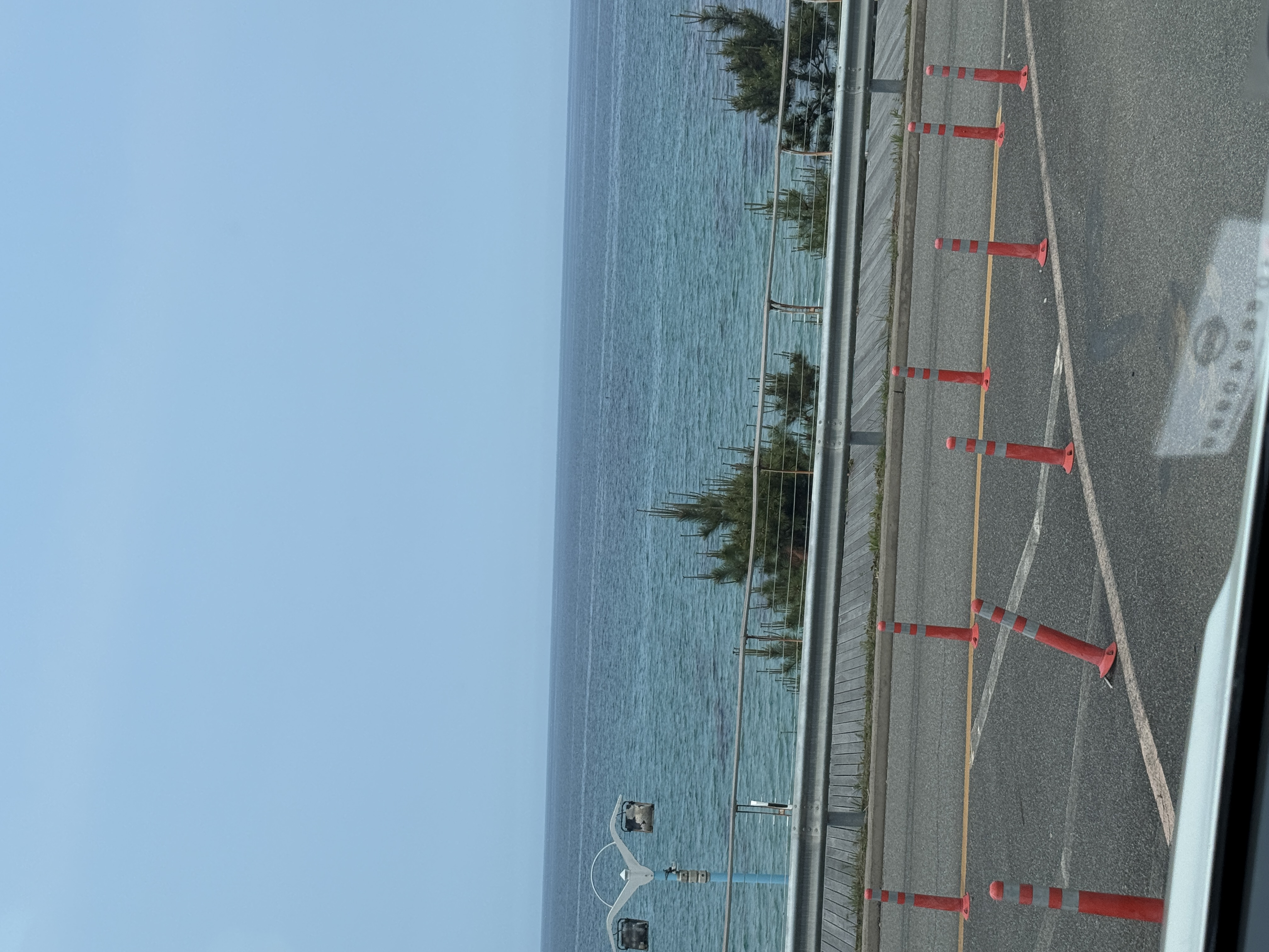 comment-user-thumbnail