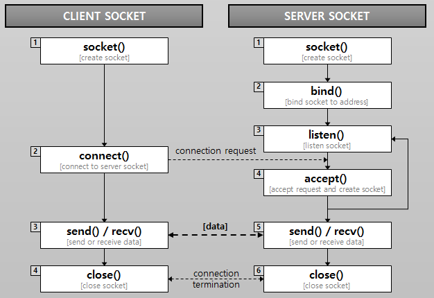 [Network] Socket 주소 체계 - IP와 Port