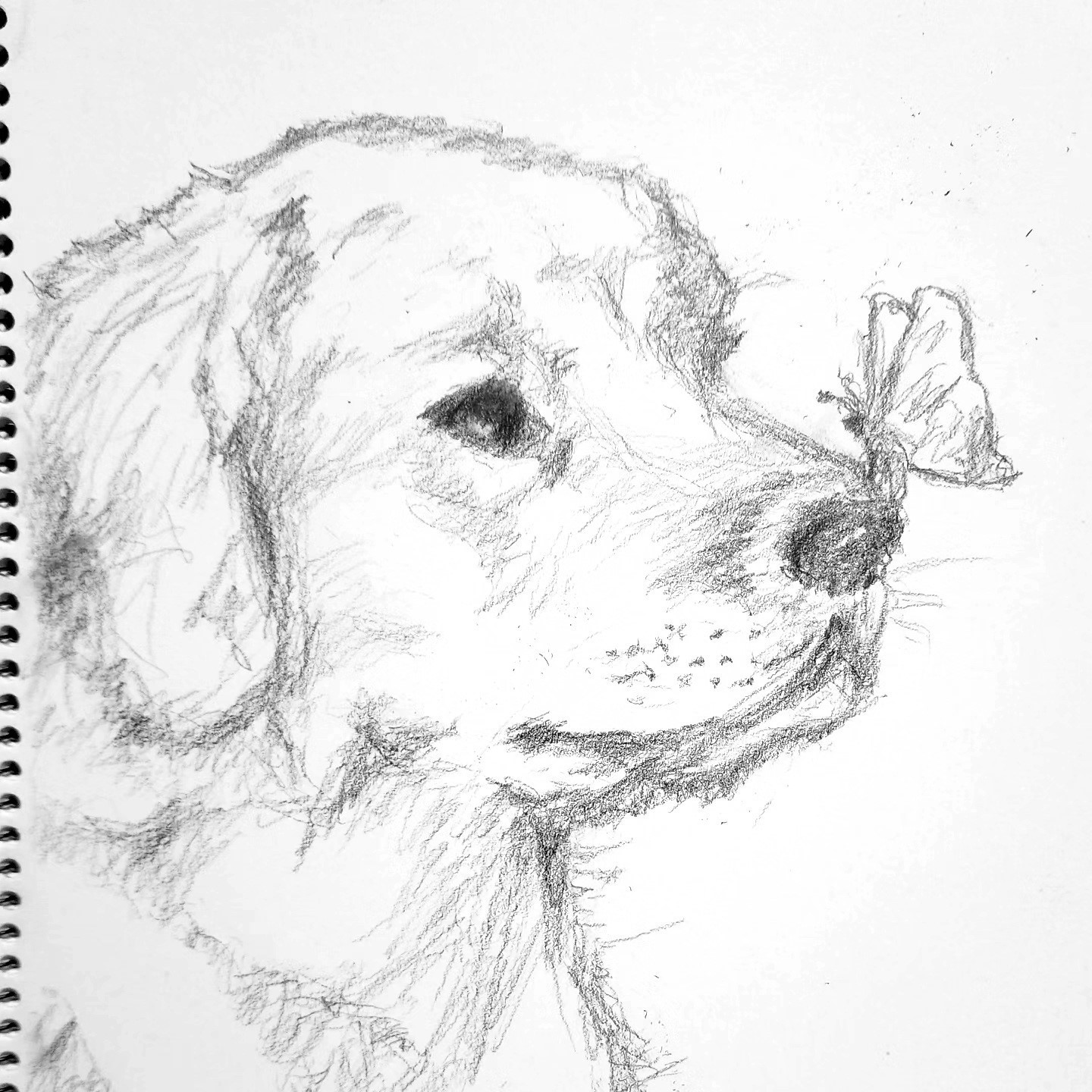 comment-user-thumbnail