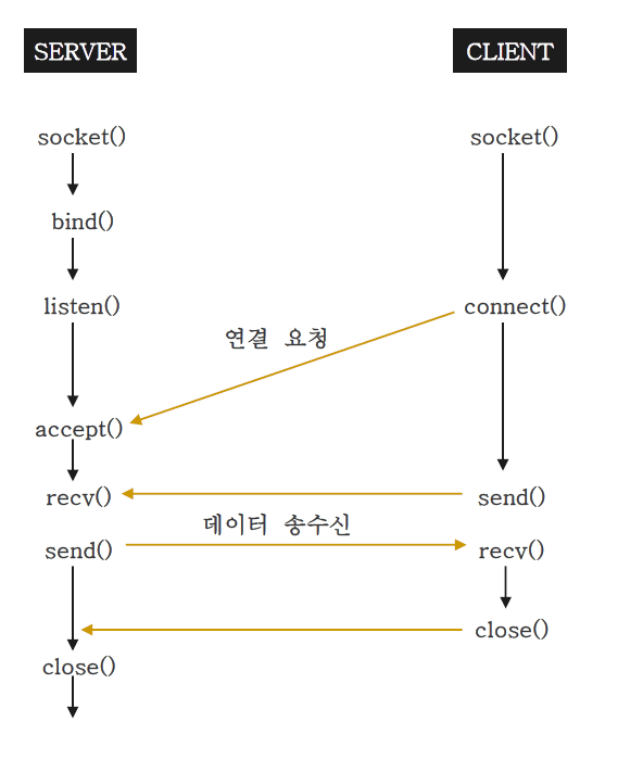 소켓