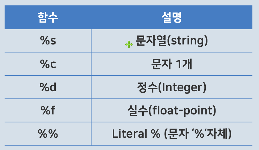 문자열 포맷코드