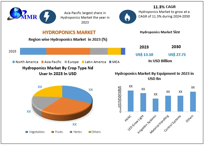 Hydroponics Market Segmentation and Analysis by Crop Type and Equipment ...