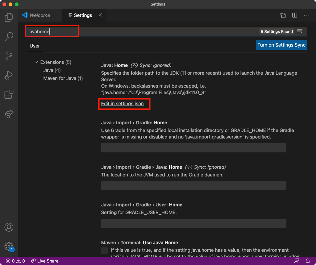 Mac M1 visual code Java setting