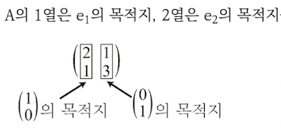 기저 벡터