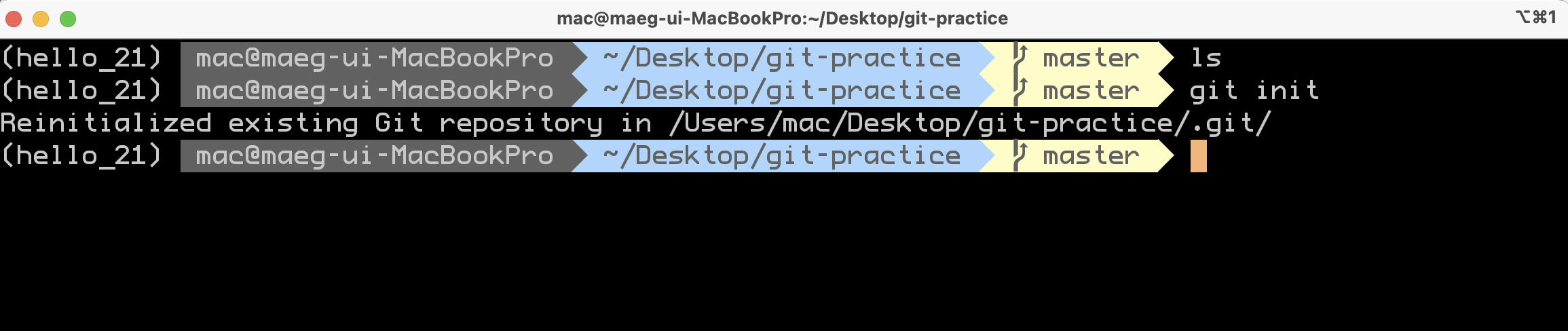 TIL git 다루기