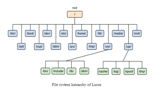 Linux & Terminal
