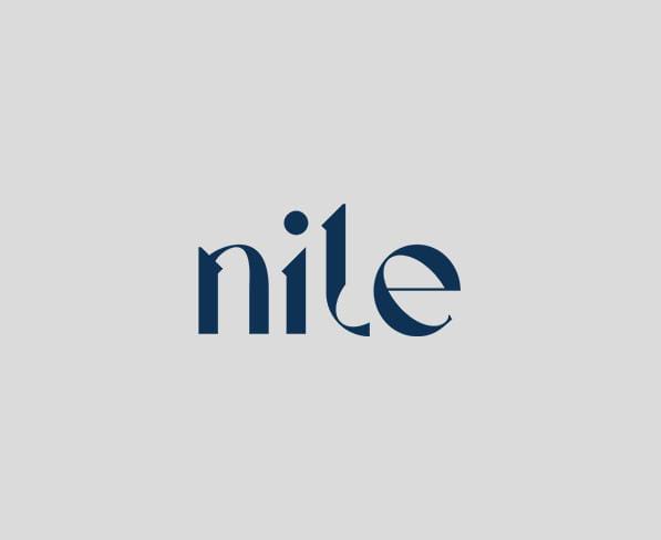 Velog profile picture for @nile