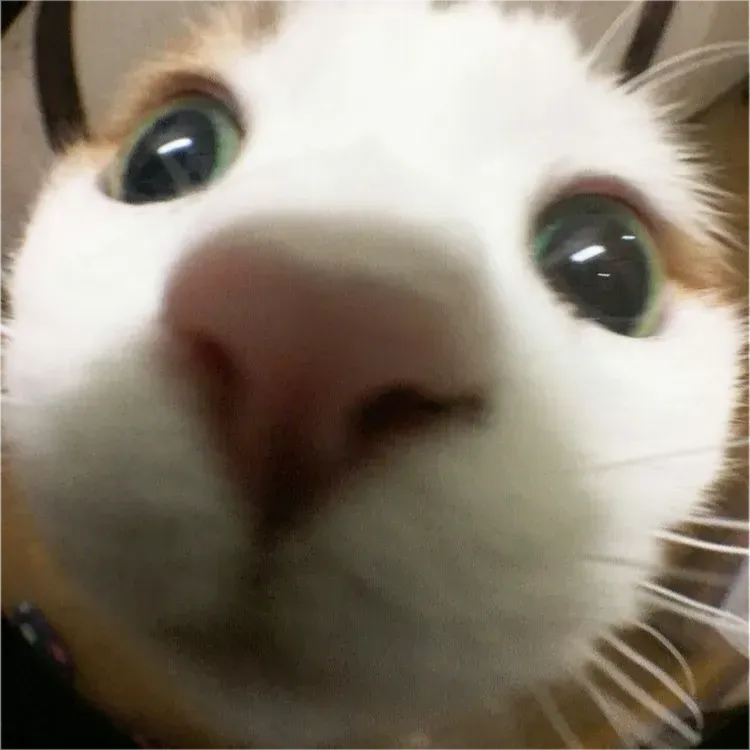 comment-user-thumbnail