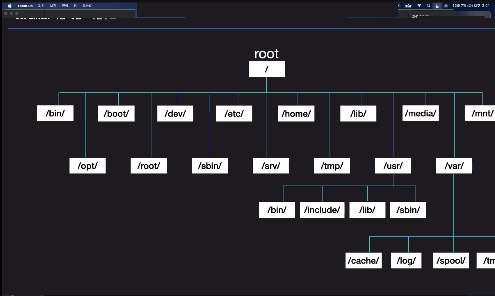 Root Bin Linux & Terminal