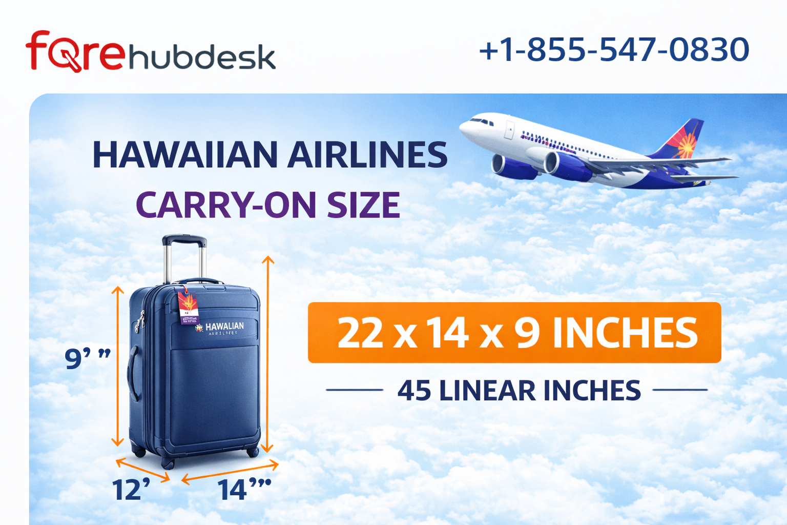 What Is the Personal Item Size Limit on Hawaiian Airlines?