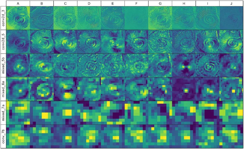 [Computer Vision] 딥러닝 시각화 (Feature Visualization vs Activation Map vs ...