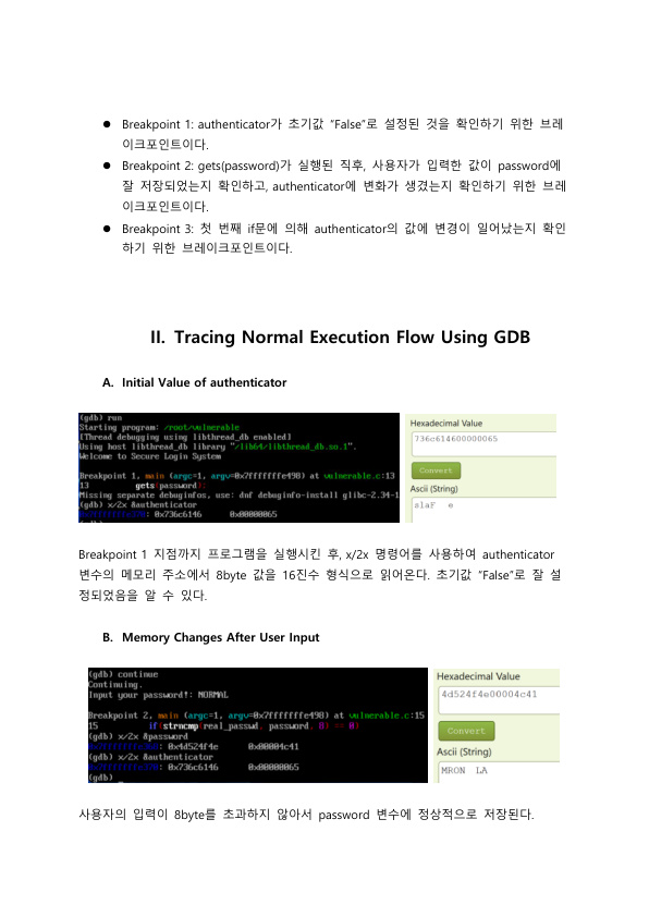 [Information System Security] Debugging Stack Overflow Vulnerabilities