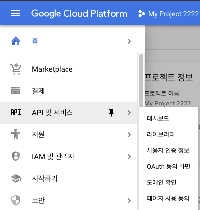 angular + google map