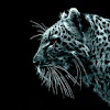 comment-user-thumbnail