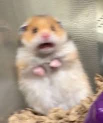 comment-user-thumbnail