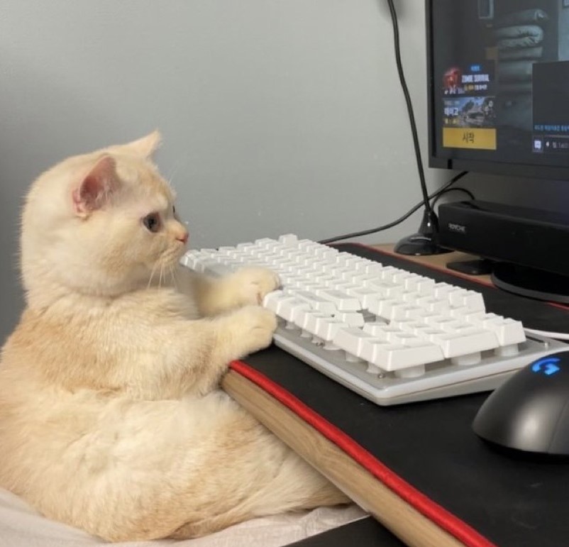 comment-user-thumbnail