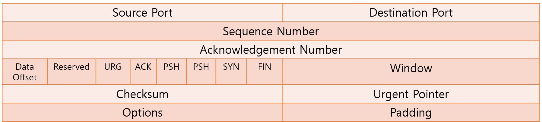 TCP Headers