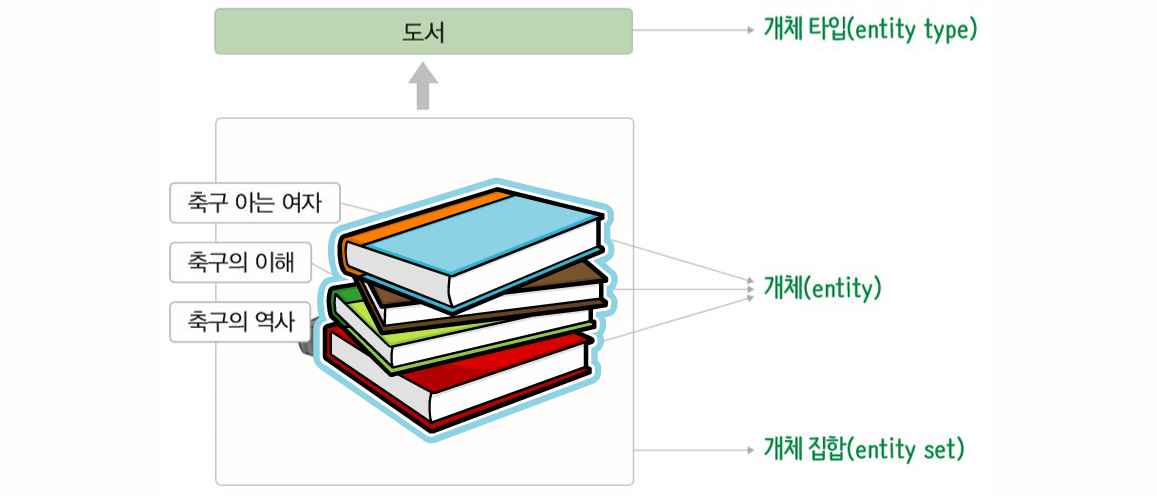 개체,개체 타입,개체 집합