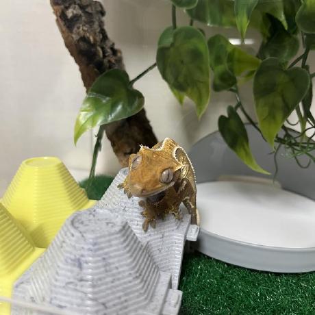 comment-user-thumbnail