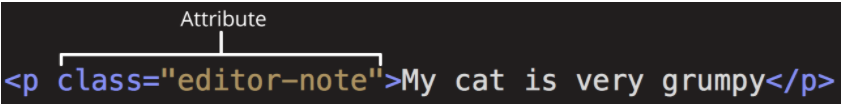 roadmap HTML (1. Learn the basics)