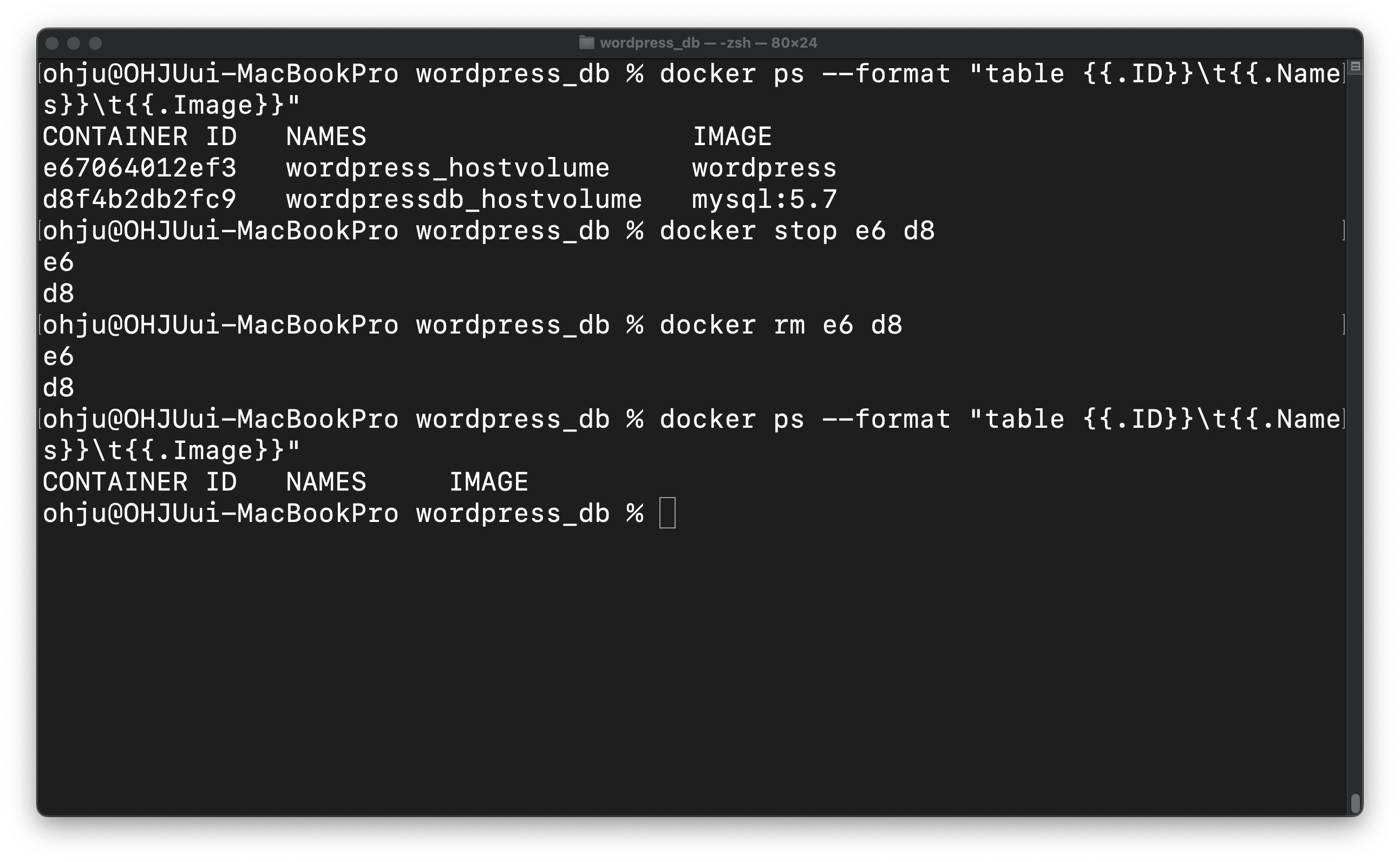 Docker Volume Host Volume