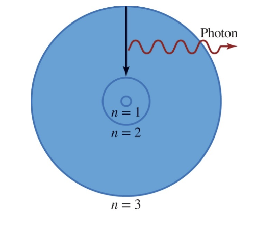 Bohr's Model of the Atom