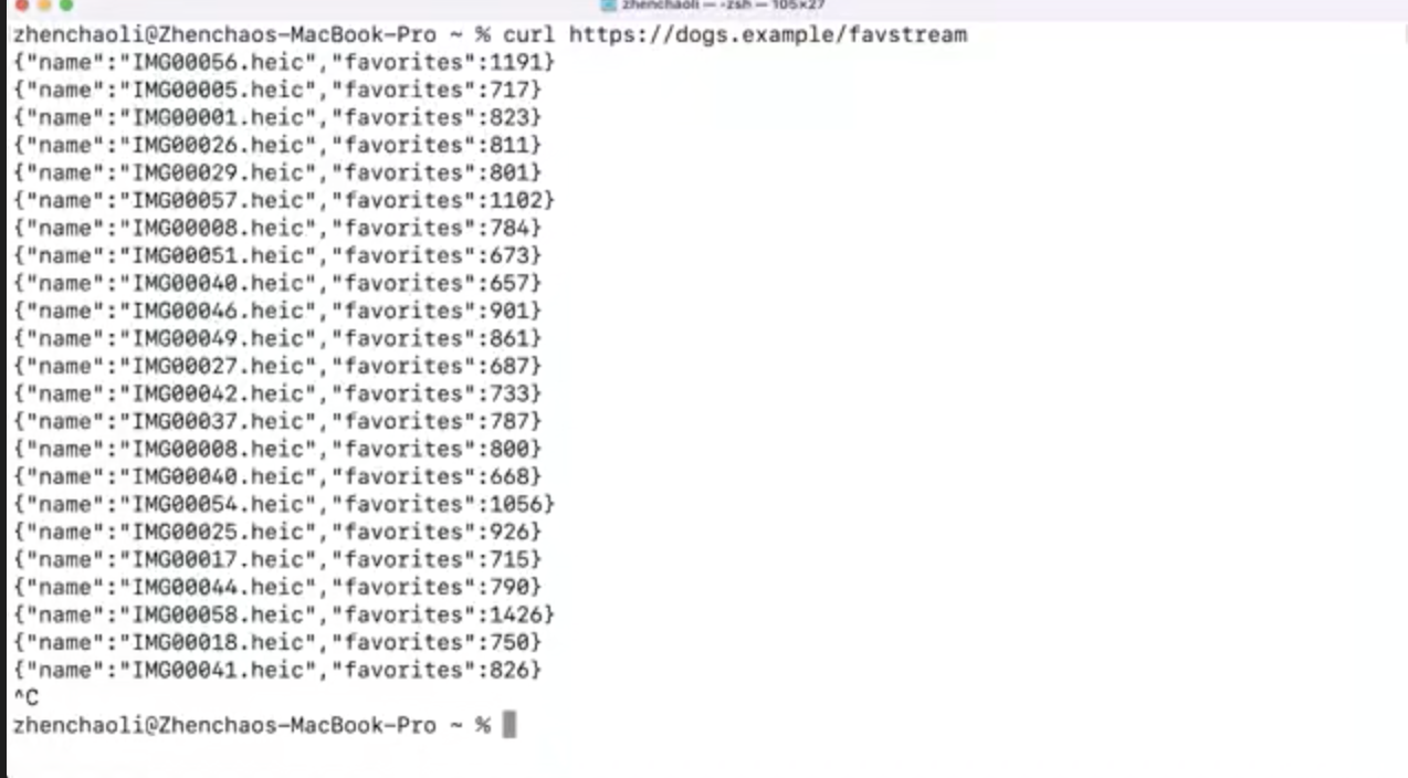 번역 - Use async / await with URLSession, WWDC 2021