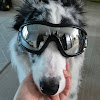comment-user-thumbnail
