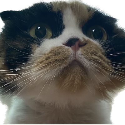 comment-user-thumbnail