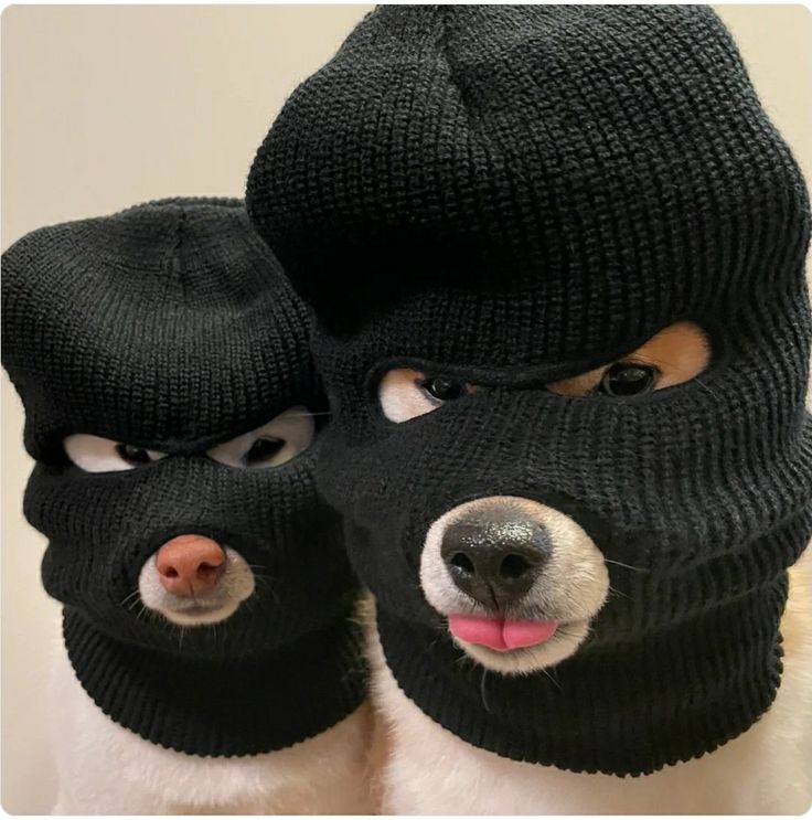 쉘 스크립트 작성하기